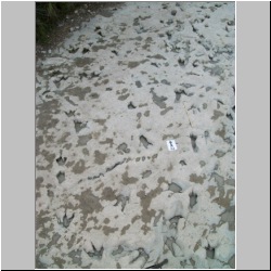 100_0919 (2009-27-07)m.JPG